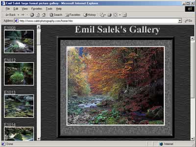 Emil Salek Gallery